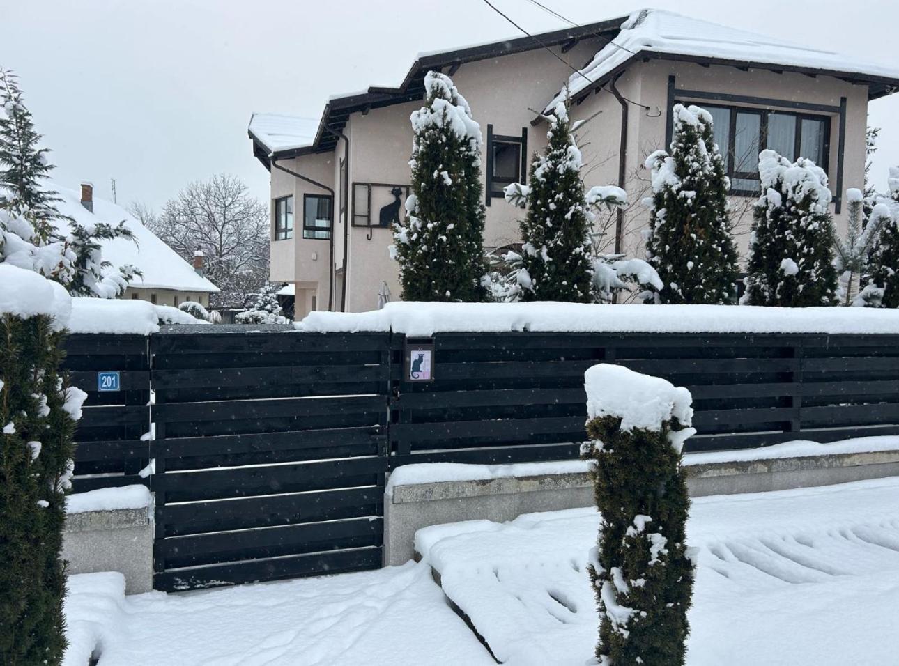 Casa Pisica Noastra Hotel Бреаза Екстериор снимка
