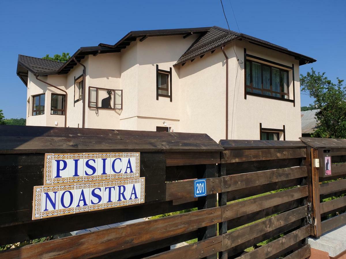 Casa Pisica Noastra Hotel Бреаза Екстериор снимка